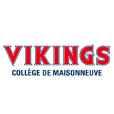 La Course des Vikings
